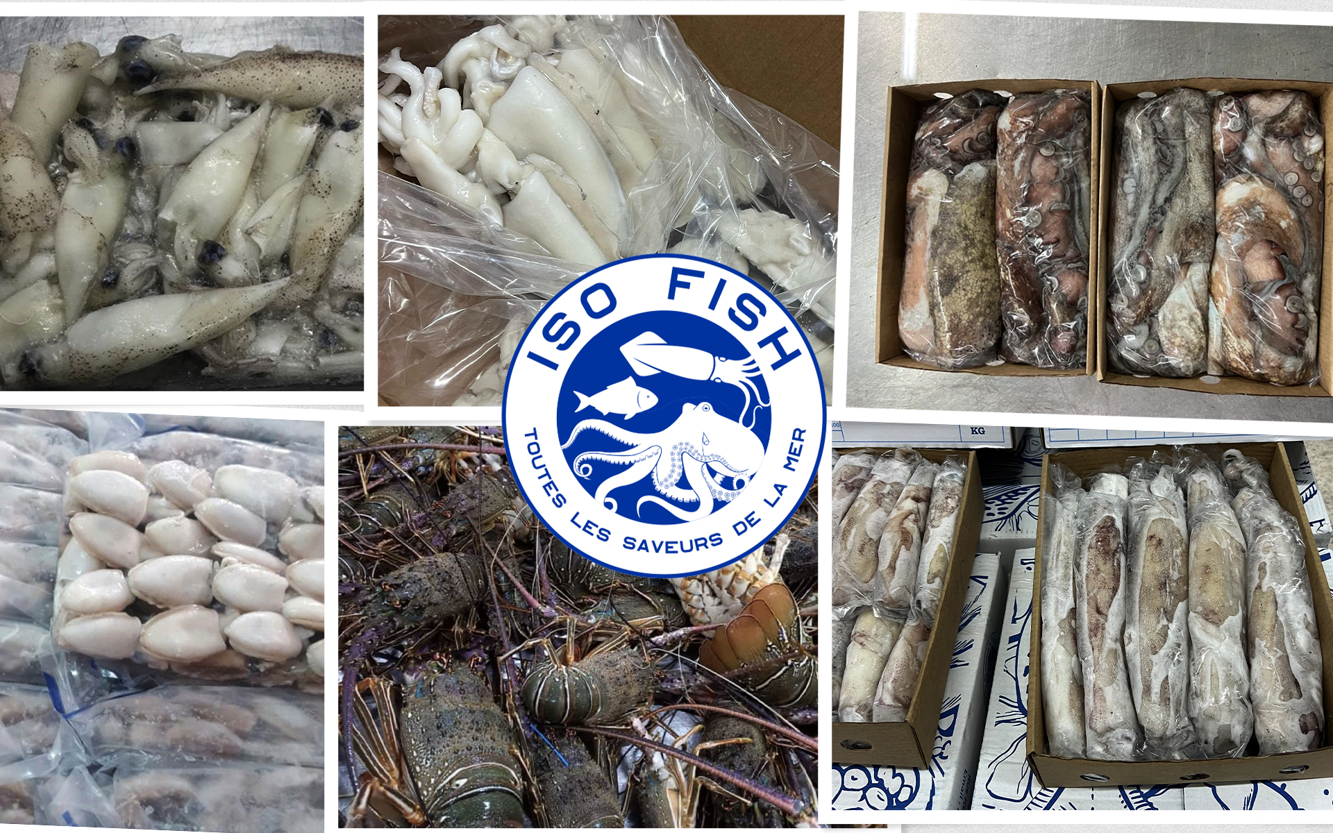 Toutes les saveurs<br>de la mer